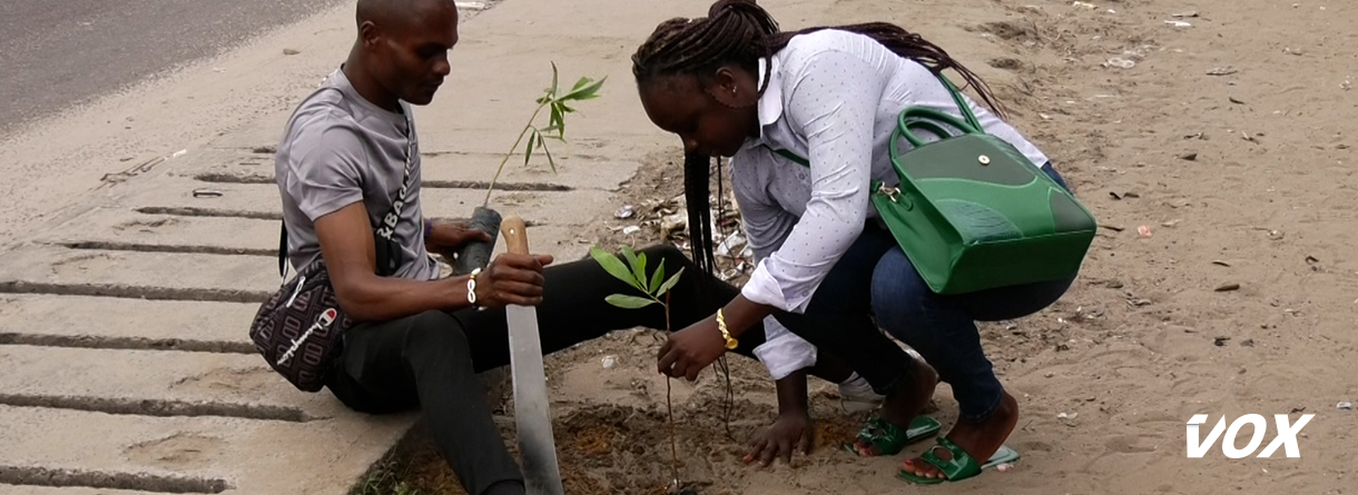 L’importance de l’arbre épinglée à la journée nationale